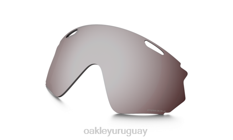Oakley Lentes de repuesto para chaqueta cortavientos 2.0 para nieve. XT4H1508 gafas lentes prizm nieve negro iridium