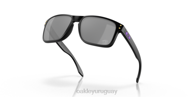 Oakley cuervos de baltimore holbrook XT4H606 gafas lentes prizm negro, montura negro mate