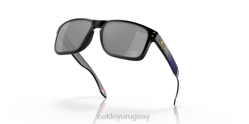 Oakley cuervos de baltimore holbrook XT4H607 gafas lentes prizm negro, montura negro mate