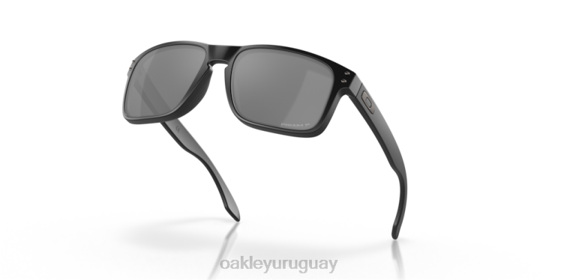 Oakley holbrook XT4H52 gafas lentes prizm polarizadas negras, montura negra mate