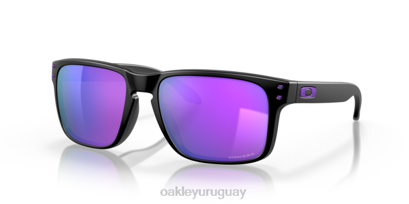 Oakley holbrook XT4H68 gafas lentes prizm violeta, montura negro mate
