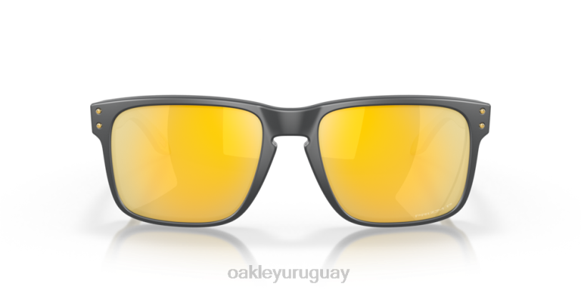 Oakley holbrook XT4H72 gafas lentes polarizadas prizm 24k, marco de carbono mate