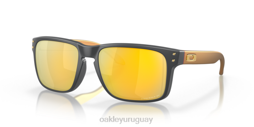 Oakley holbrook (ajuste de puente bajo) XT4H797 gafas lentes polarizadas prizm 24k, marco de carbono mate