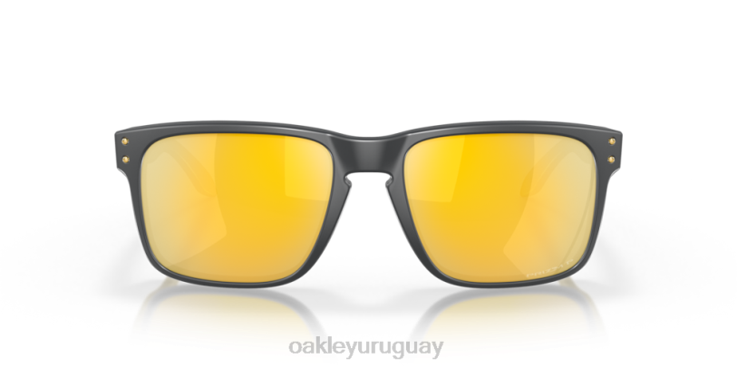Oakley holbrook (ajuste de puente bajo) XT4H797 gafas lentes polarizadas prizm 24k, marco de carbono mate