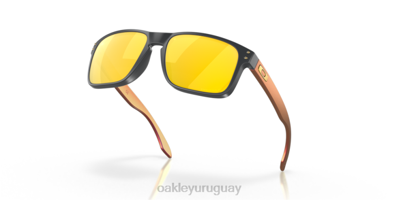 Oakley holbrook (ajuste de puente bajo) XT4H797 gafas lentes polarizadas prizm 24k, marco de carbono mate