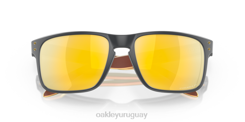 Oakley holbrook (ajuste de puente bajo) XT4H797 gafas lentes polarizadas prizm 24k, marco de carbono mate