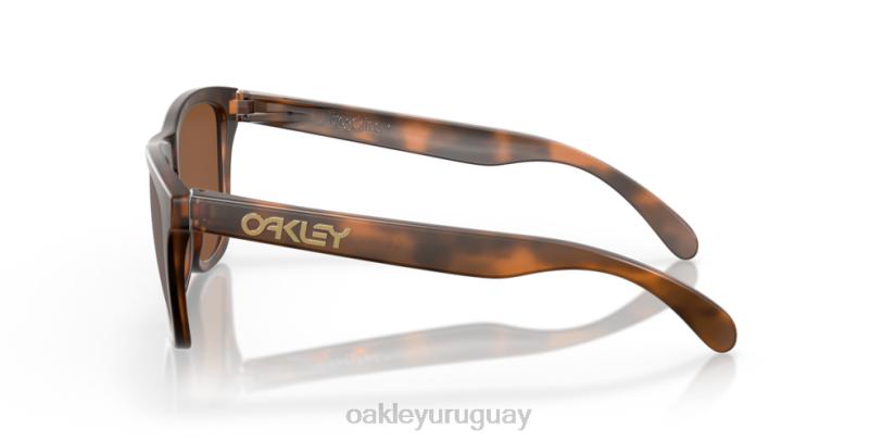 Oakley pieles de rana XT4H109 gafas Lentes Prizm de tungsteno, montura carey mate.