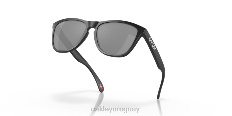 Oakley pieles de rana XT4H112 gafas lentes prizm polarizadas negras, montura negra mate