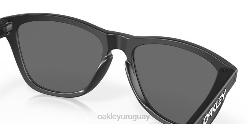 Oakley pieles de rana XT4H112 gafas lentes prizm polarizadas negras, montura negra mate