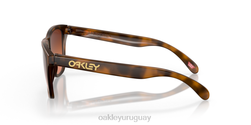 Oakley pieles de rana (ajuste de puente bajo) XT4H820 gafas lentes prizm marrón degradado, montura carey marrón mate