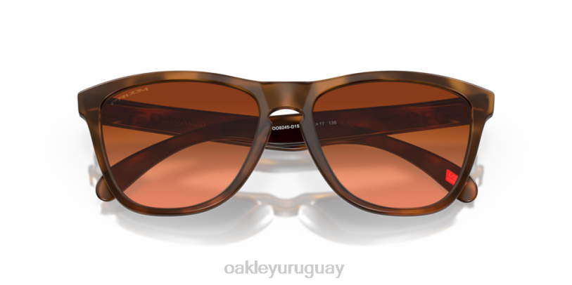 Oakley pieles de rana (ajuste de puente bajo) XT4H820 gafas lentes prizm marrón degradado, montura carey marrón mate