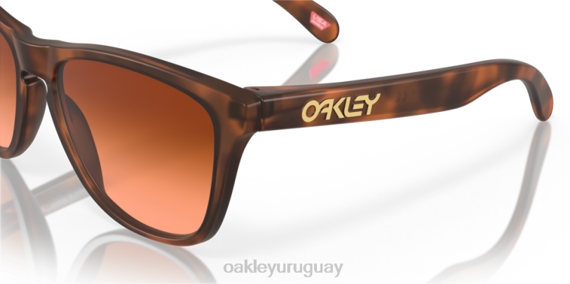 Oakley pieles de rana (ajuste de puente bajo) XT4H820 gafas lentes prizm marrón degradado, montura carey marrón mate