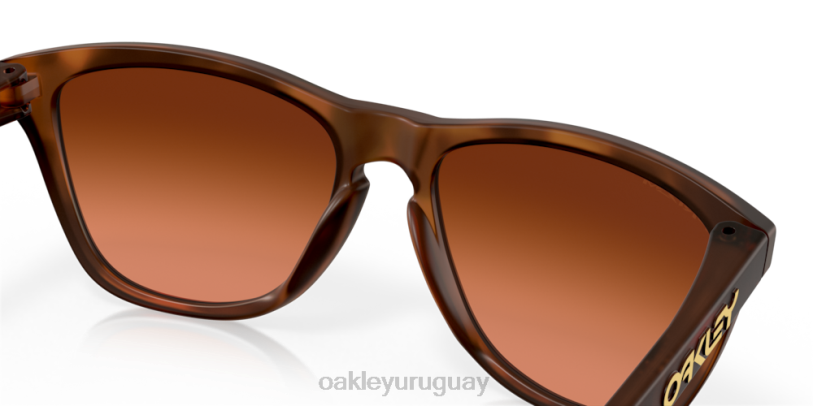 Oakley pieles de rana (ajuste de puente bajo) XT4H820 gafas lentes prizm marrón degradado, montura carey marrón mate