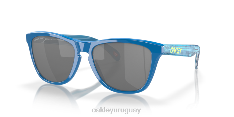 Oakley Colección de alta resolución de pieles de rana (ajuste de puente bajo) XT4H823 gafas Lentes prizm negras, montura de zafiro pulido de alta resolución.