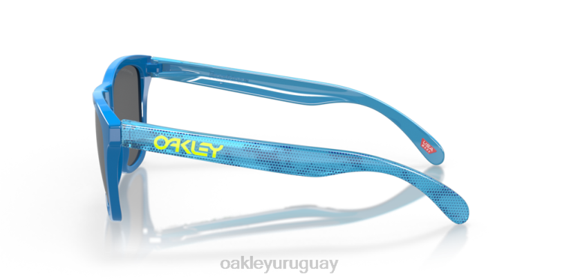 Oakley Colección de alta resolución de pieles de rana (ajuste de puente bajo) XT4H823 gafas Lentes prizm negras, montura de zafiro pulido de alta resolución.