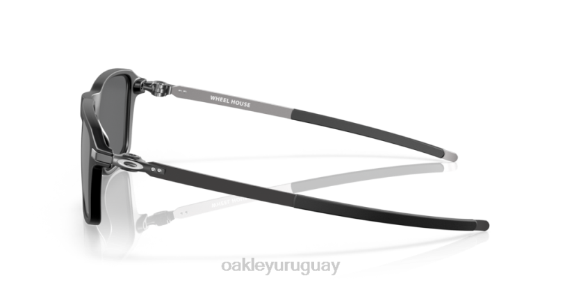 Oakley casa de ruedas XT4H1039 gafas lentes prizm negro, montura negro satinado