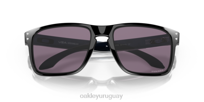 Oakley colección holbrook xl de alta resolución XT4H935 gafas lentes gris prizm, montura negra pulida