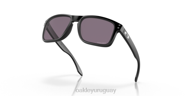 Oakley holbrook XT4H57 gafas lentes prizm gris, montura negra mate
