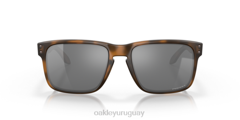 Oakley holbrook XT4H61 gafas lentes prizm negras, montura carey marrón mate