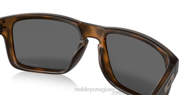 Oakley holbrook XT4H61 gafas lentes prizm negras, montura carey marrón mate