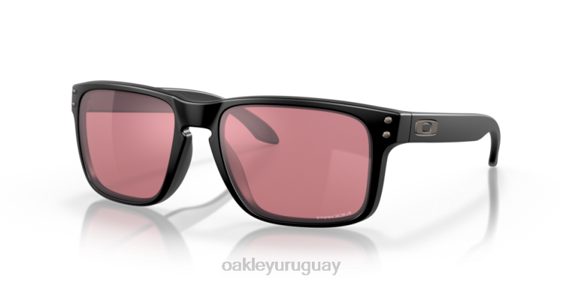 Oakley holbrook XT4H67 gafas Lentes Prizm Dark Golf, montura negra mate.