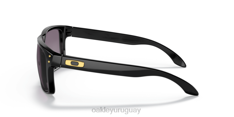 Oakley holbrook (ajuste de puente bajo) XT4H795 gafas lentes gris prizm, montura negra pulida