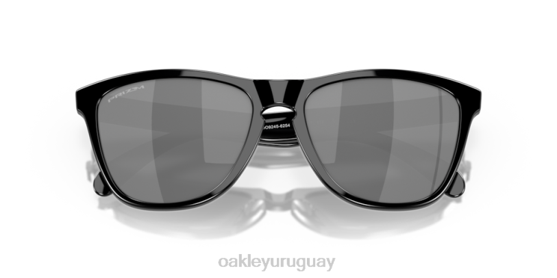 Oakley pieles de rana (ajuste de puente bajo) XT4H809 gafas lentes prizm negras, montura negra pulida