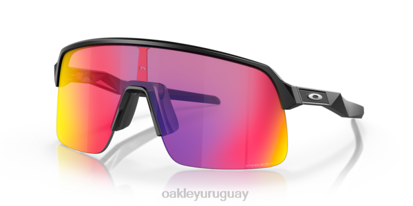 Oakley sutro lite XT4H219 gafas Lentes prizm road, montura negra mate