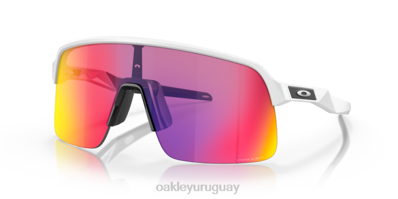 Oakley sutro lite XT4H220 gafas Lentes prizm road, montura blanca mate