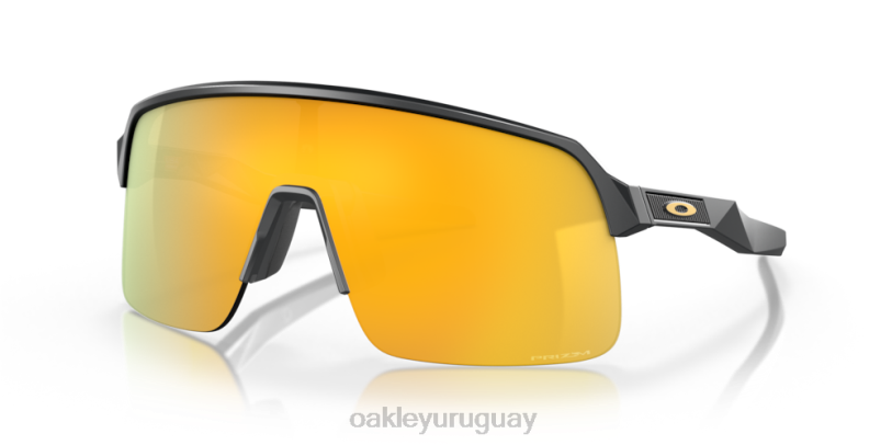 Oakley sutro lite XT4H225 gafas Lentes prizm 24k, marco de carbono mate.