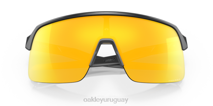 Oakley sutro lite XT4H225 gafas Lentes prizm 24k, marco de carbono mate.