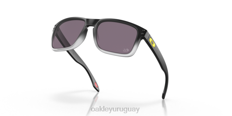 Oakley tour de francia holbrook 2022 XT4H653 gafas lentes gris prizm, montura negra mate desvanecida
