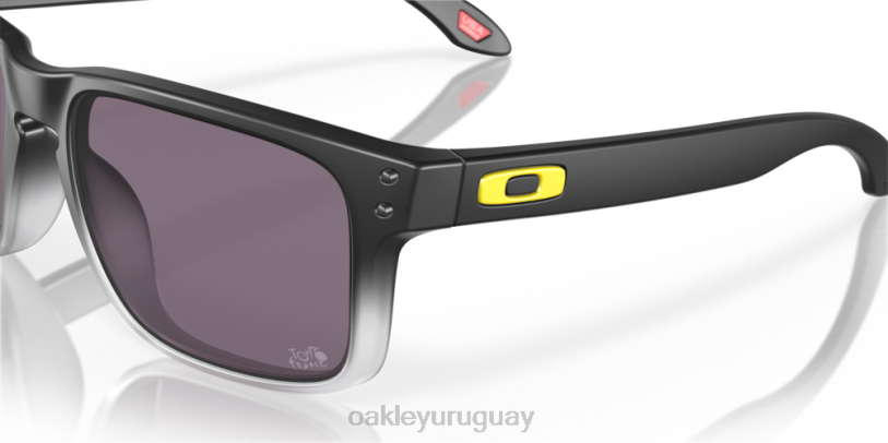 Oakley tour de francia holbrook 2022 XT4H653 gafas lentes gris prizm, montura negra mate desvanecida