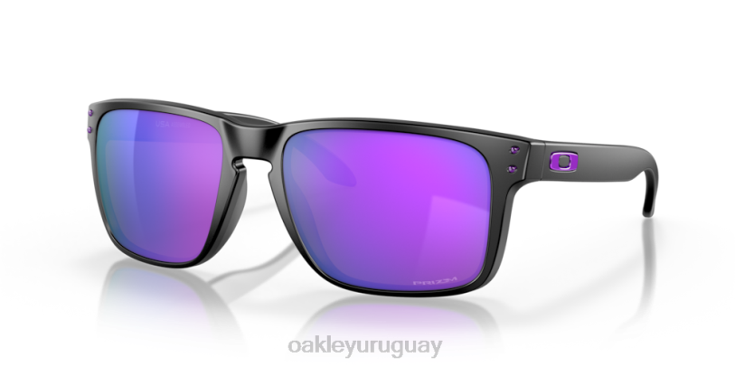 Oakley holbrook xl XT4H10 gafas lentes prizm violeta, montura negro mate
