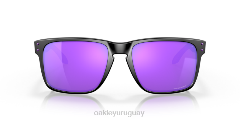 Oakley holbrook xl XT4H10 gafas lentes prizm violeta, montura negro mate