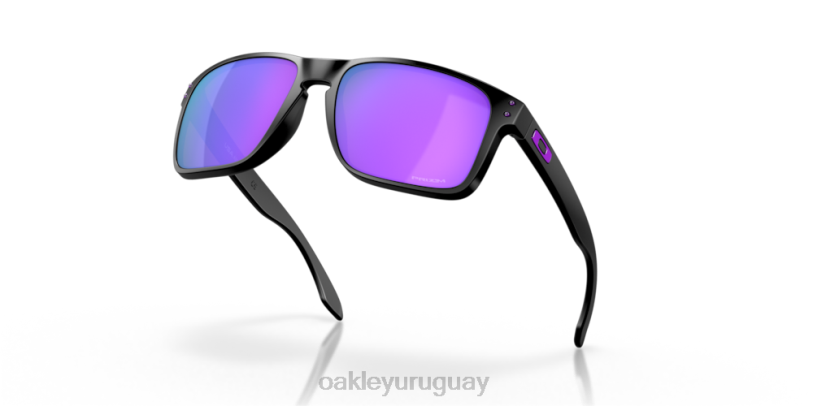 Oakley holbrook xl XT4H10 gafas lentes prizm violeta, montura negro mate