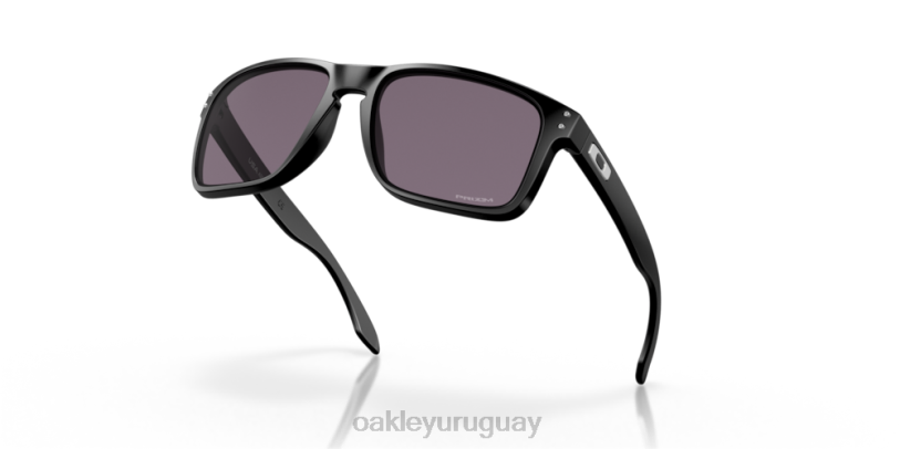 Oakley holbrook xl XT4H12 gafas lentes prizm gris, montura negra mate