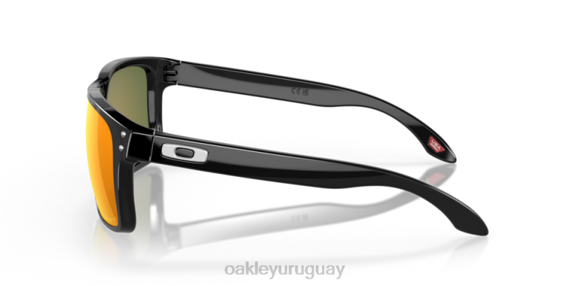 Oakley holbrook xl XT4H16 gafas lentes polarizadas prizm ruby, montura tinta negra