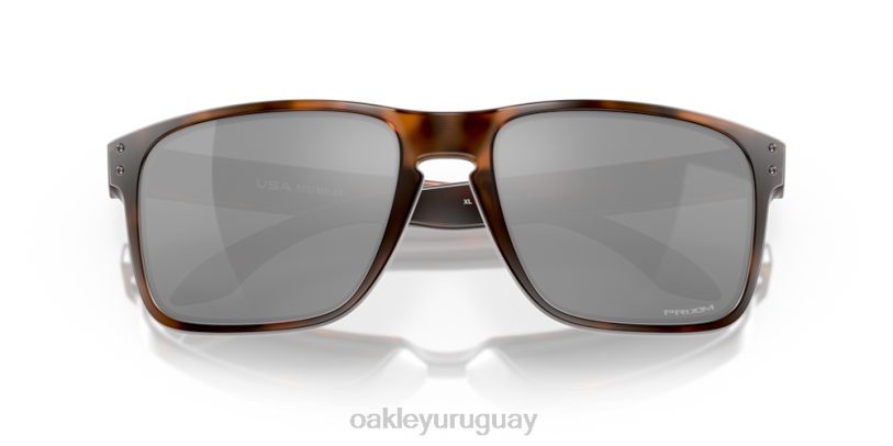 Oakley holbrook xl XT4H2 gafas lentes prizm negras, montura carey marrón mate