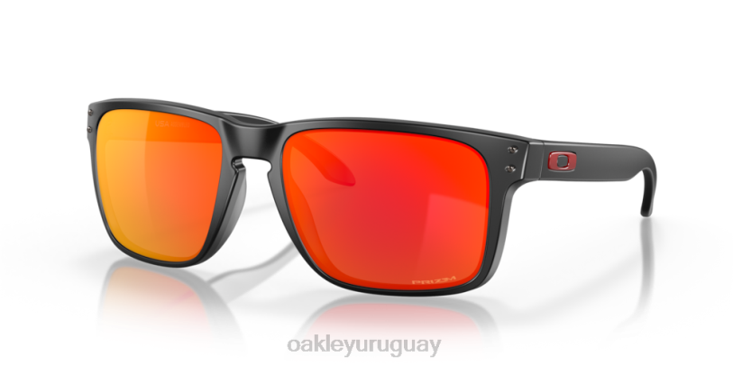 Oakley holbrook xl XT4H3 gafas Lentes prizm ruby, montura negra mate.
