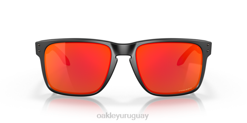 Oakley holbrook xl XT4H3 gafas Lentes prizm ruby, montura negra mate.