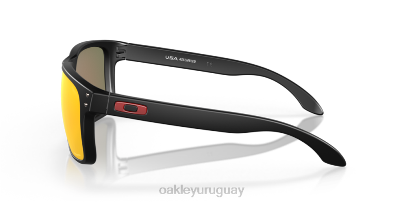 Oakley holbrook xl XT4H3 gafas Lentes prizm ruby, montura negra mate.