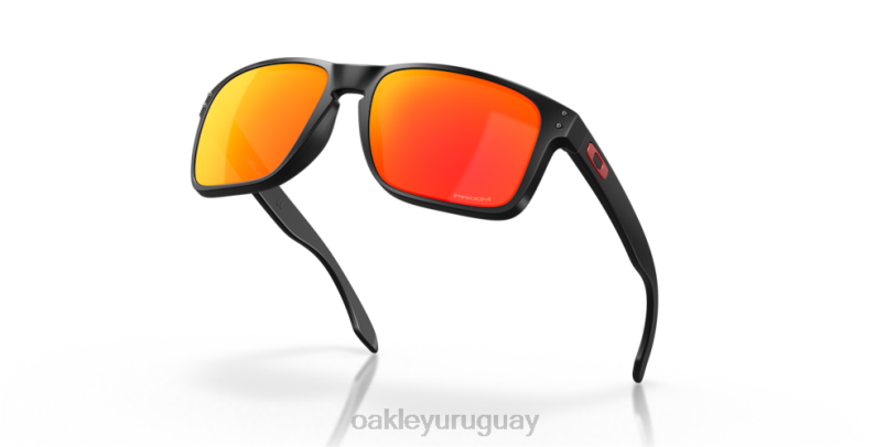 Oakley holbrook xl XT4H3 gafas Lentes prizm ruby, montura negra mate.