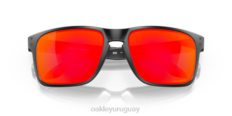 Oakley holbrook xl XT4H3 gafas Lentes prizm ruby, montura negra mate.