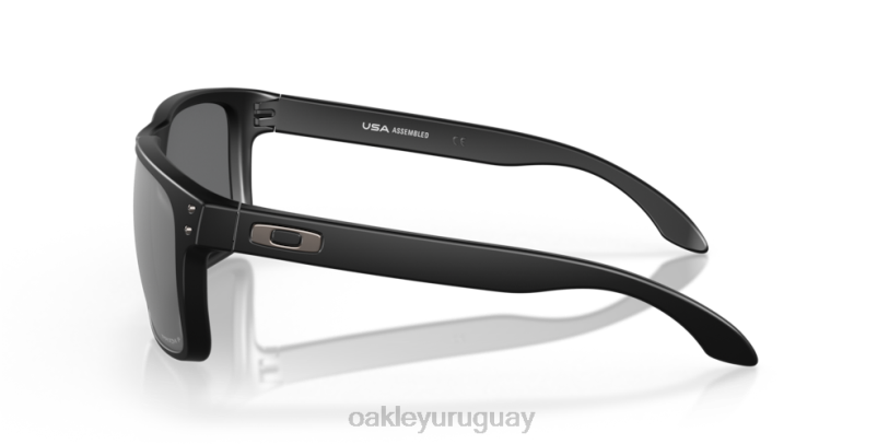 Oakley holbrook xl XT4H4 gafas lentes prizm polarizadas negras, montura negra mate