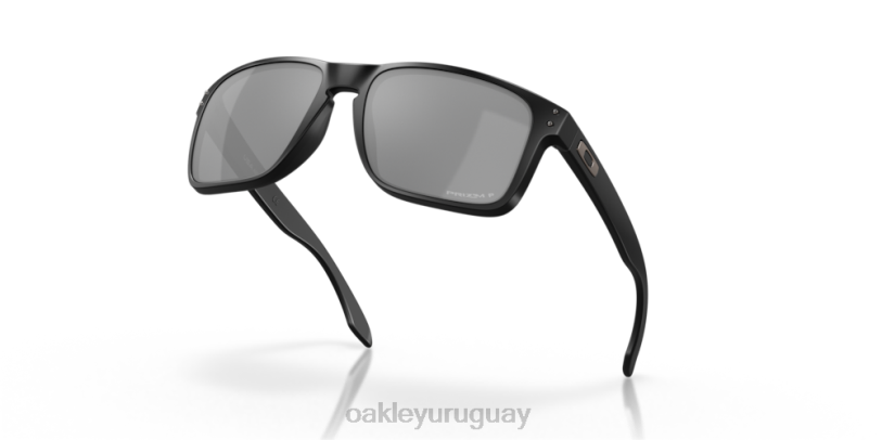 Oakley holbrook xl XT4H4 gafas lentes prizm polarizadas negras, montura negra mate
