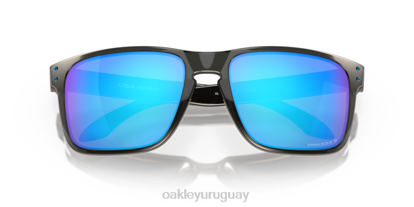 Oakley holbrook xl XT4H8 gafas lentes polarizadas prizm sapphire, montura gris humo